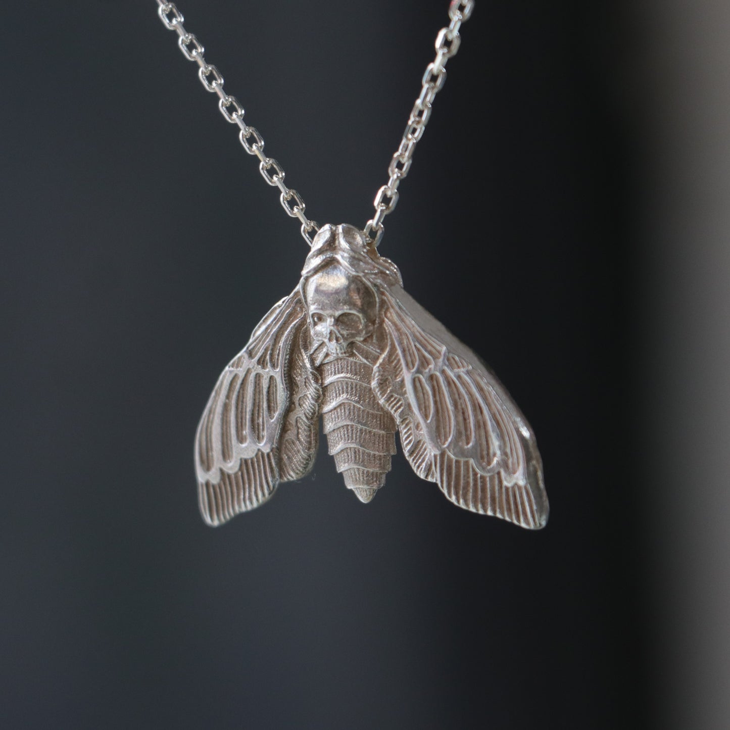 Kurukafa Güvesi (Acherontia atropos) 925 Gümüş Kolye