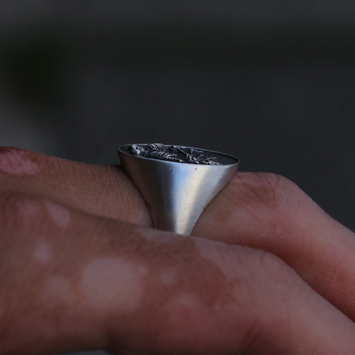 925 Black Silver Owl Men's Ring