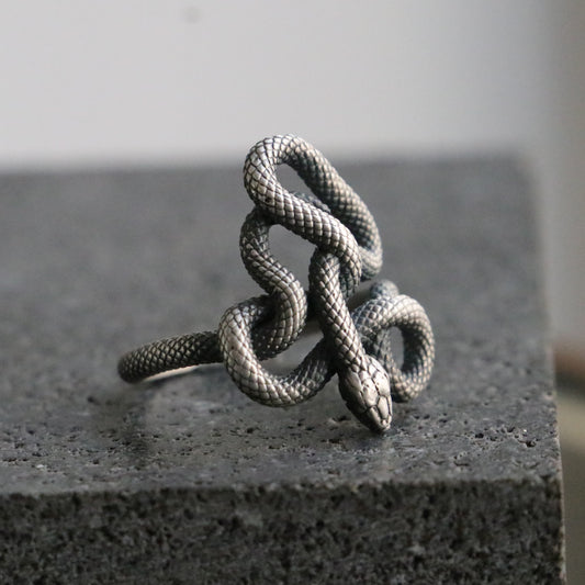 Memento Mori Moissanite Men's 925 Silver Ring