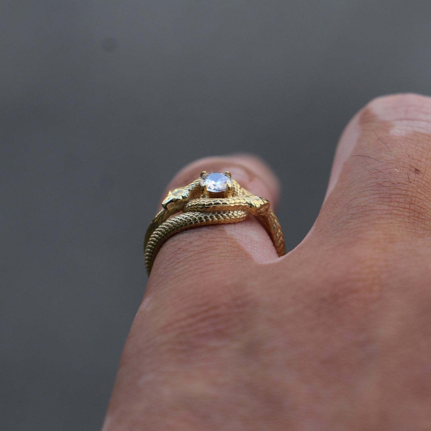 Ouroboros Yüzük (Tüm Taş ve Maden Seçenekleri)