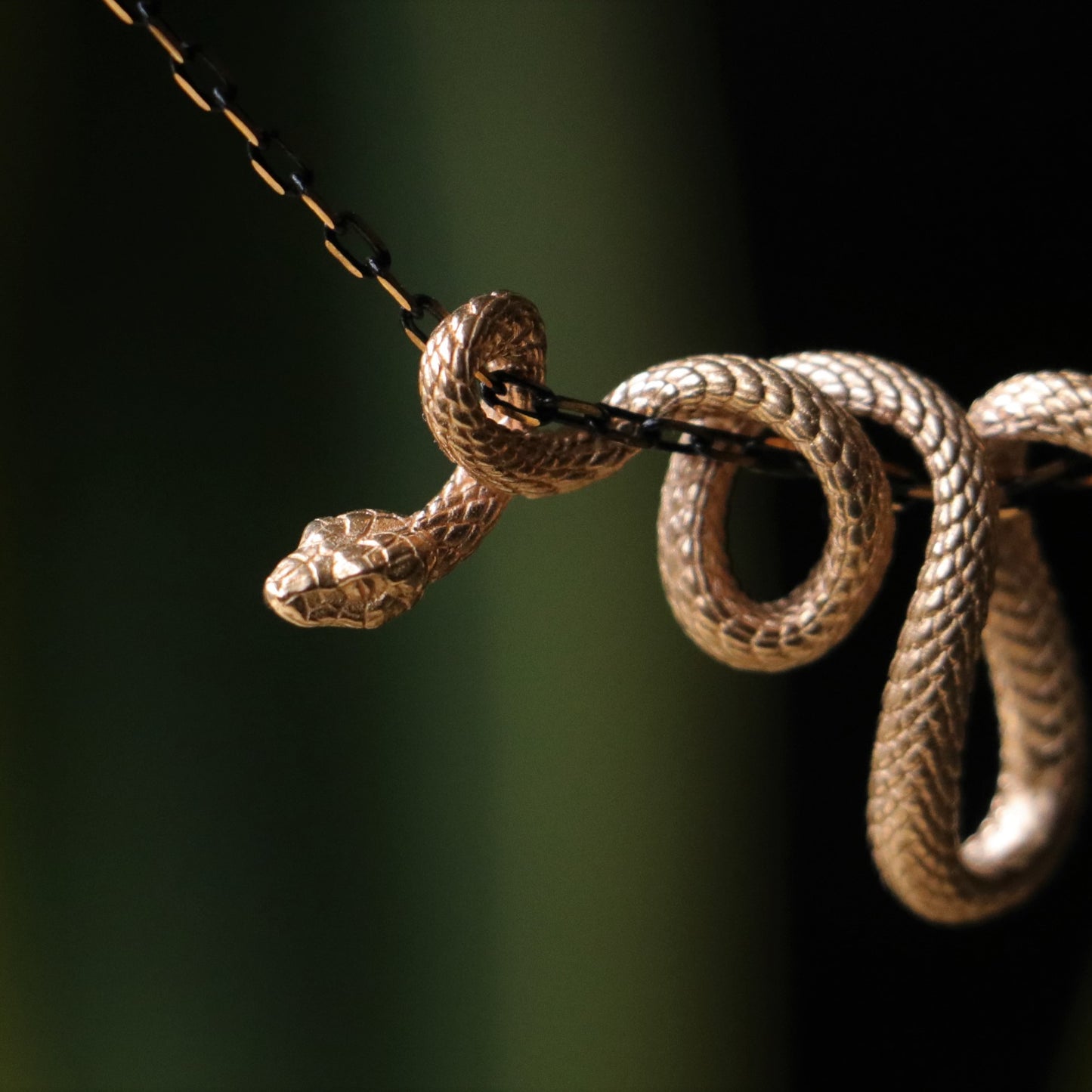Coiled Snake 925 Silver Gold Plated Necklace