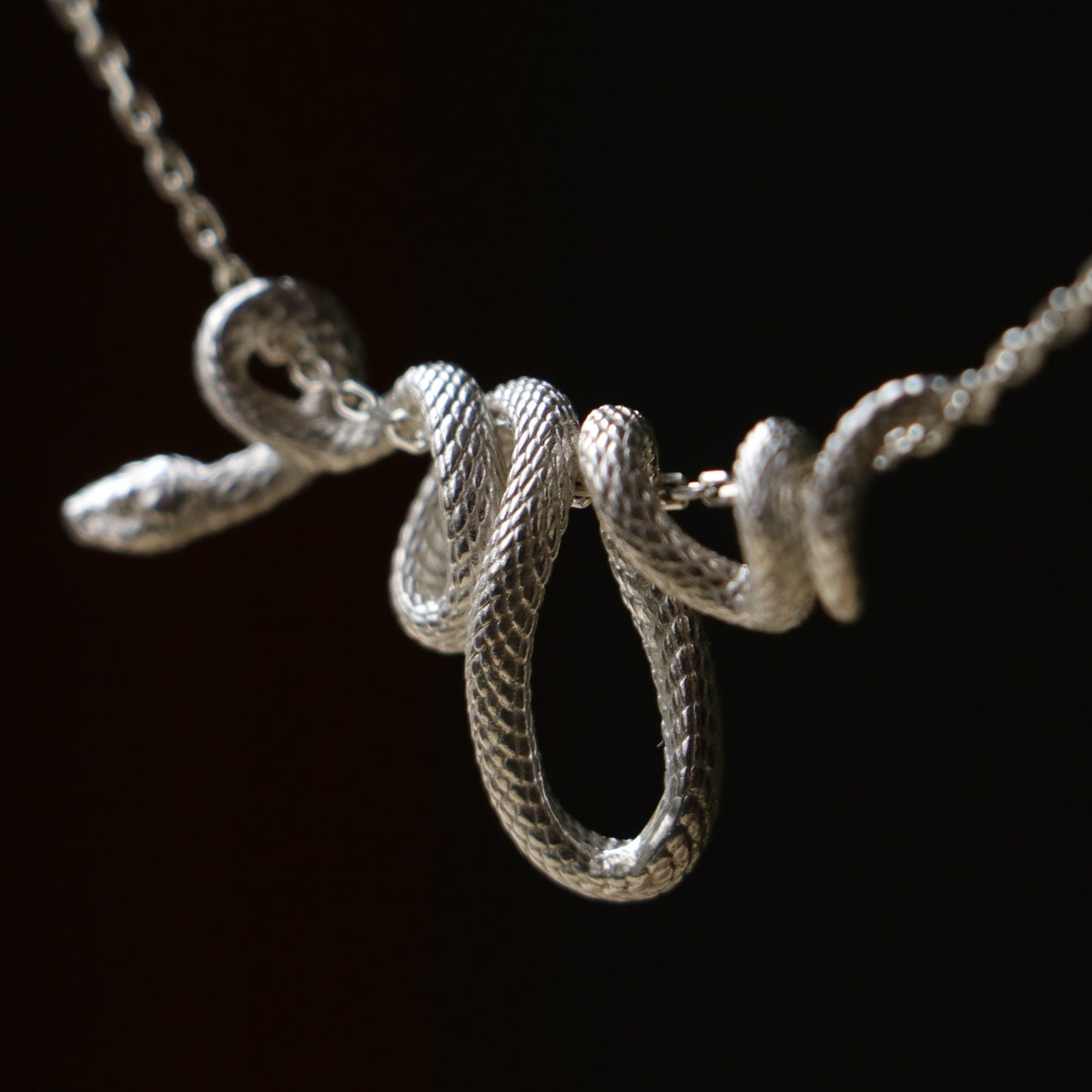 Coiled Snake 925 Silver Gold Plated Necklace