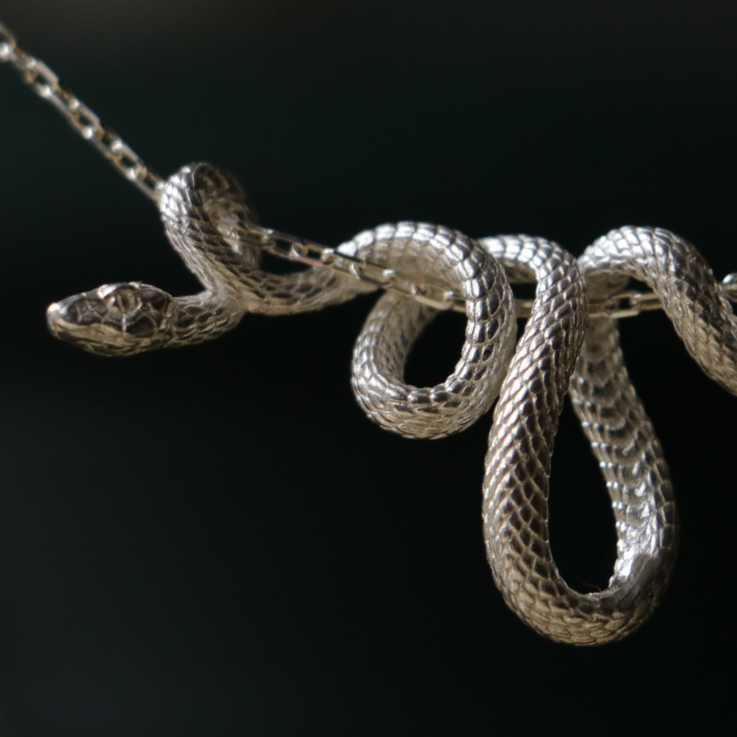 Coiled Snake 925 Silver Gold Plated Necklace