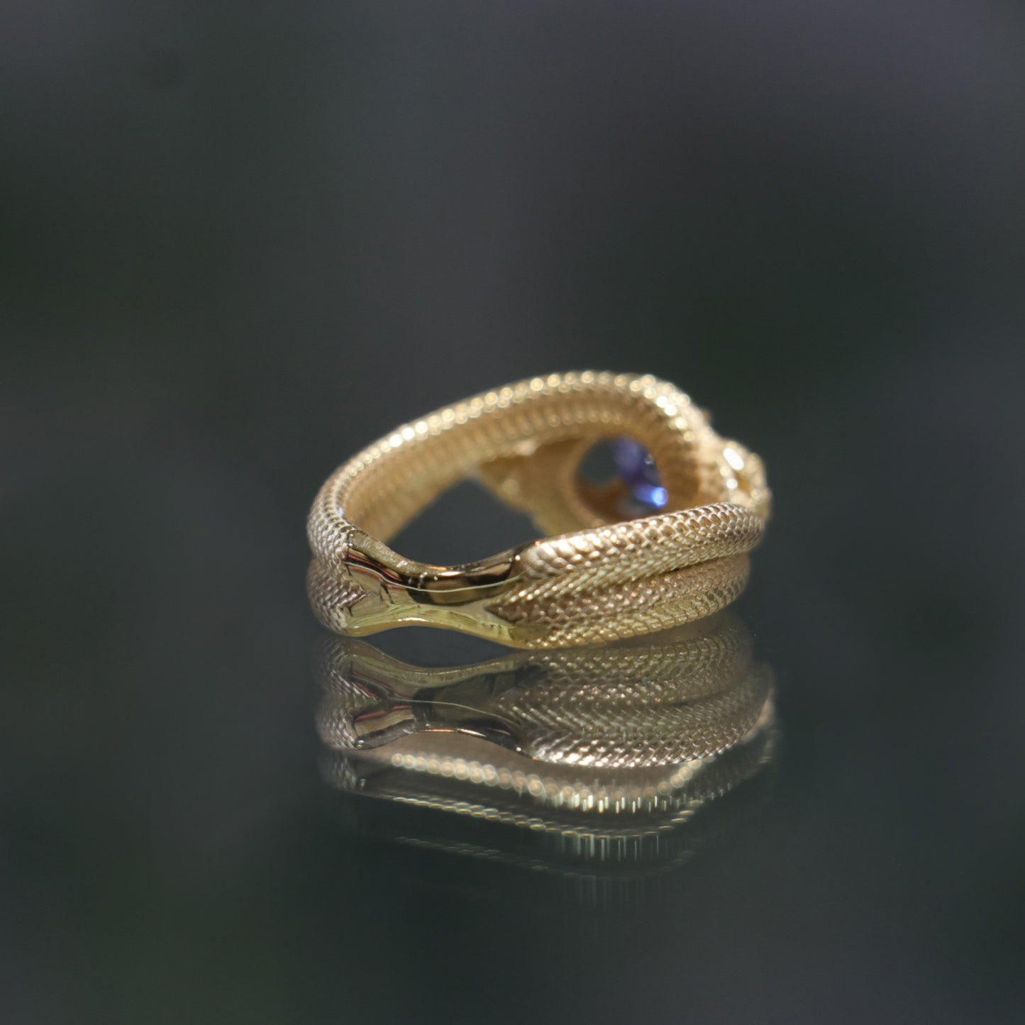 Ouroboros Yüzük (Tüm Taş ve Maden Seçenekleri)