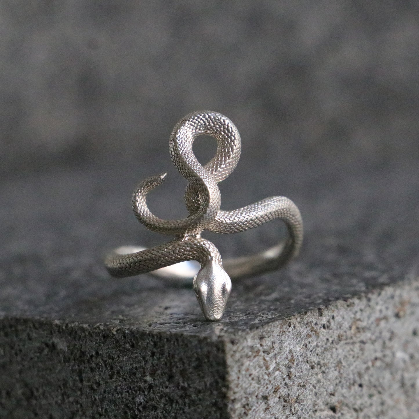 Memento Mori Moissanite Men's 925 Silver Ring