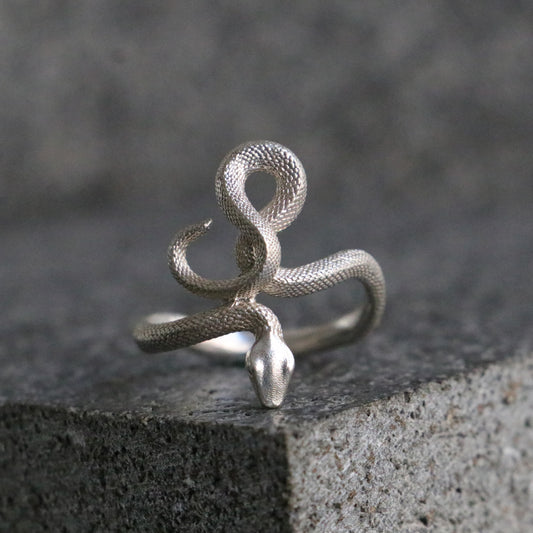 Memento Mori Moissanite Men's 925 Silver Ring