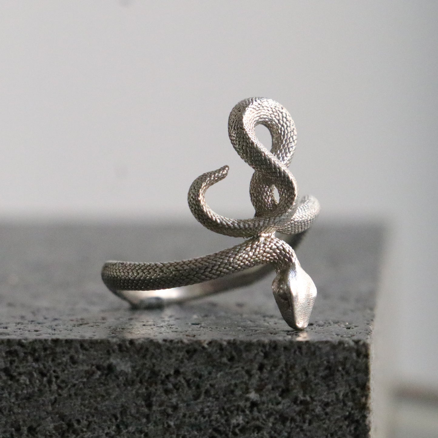 Memento Mori Moissanite Men's 925 Silver Ring