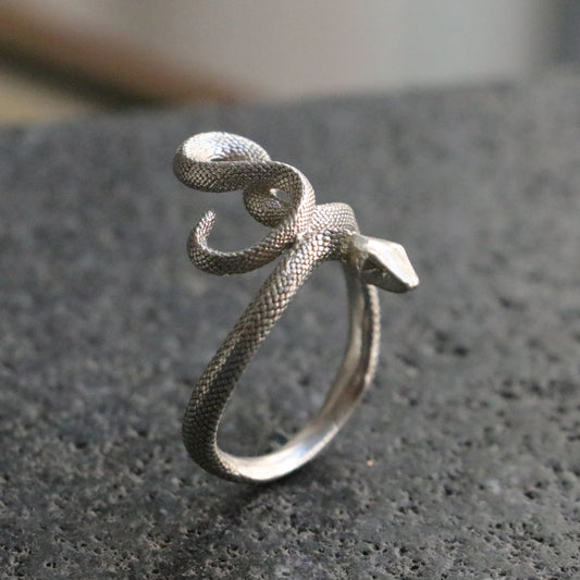 Memento Mori Moissanite Men's 925 Silver Ring