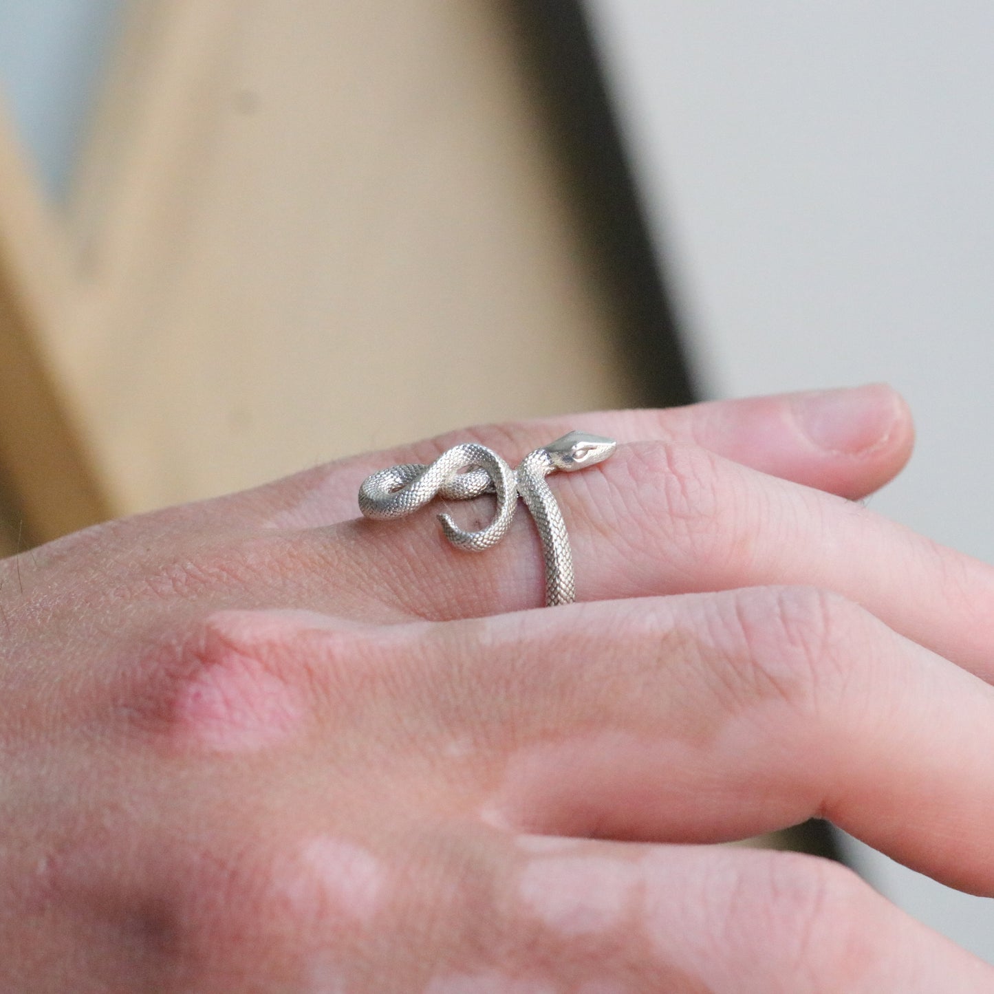 Memento Mori Moissanite Men's 925 Silver Ring