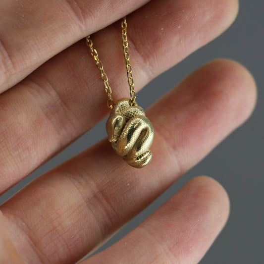 Rattlesnake 925 Silver Necklace