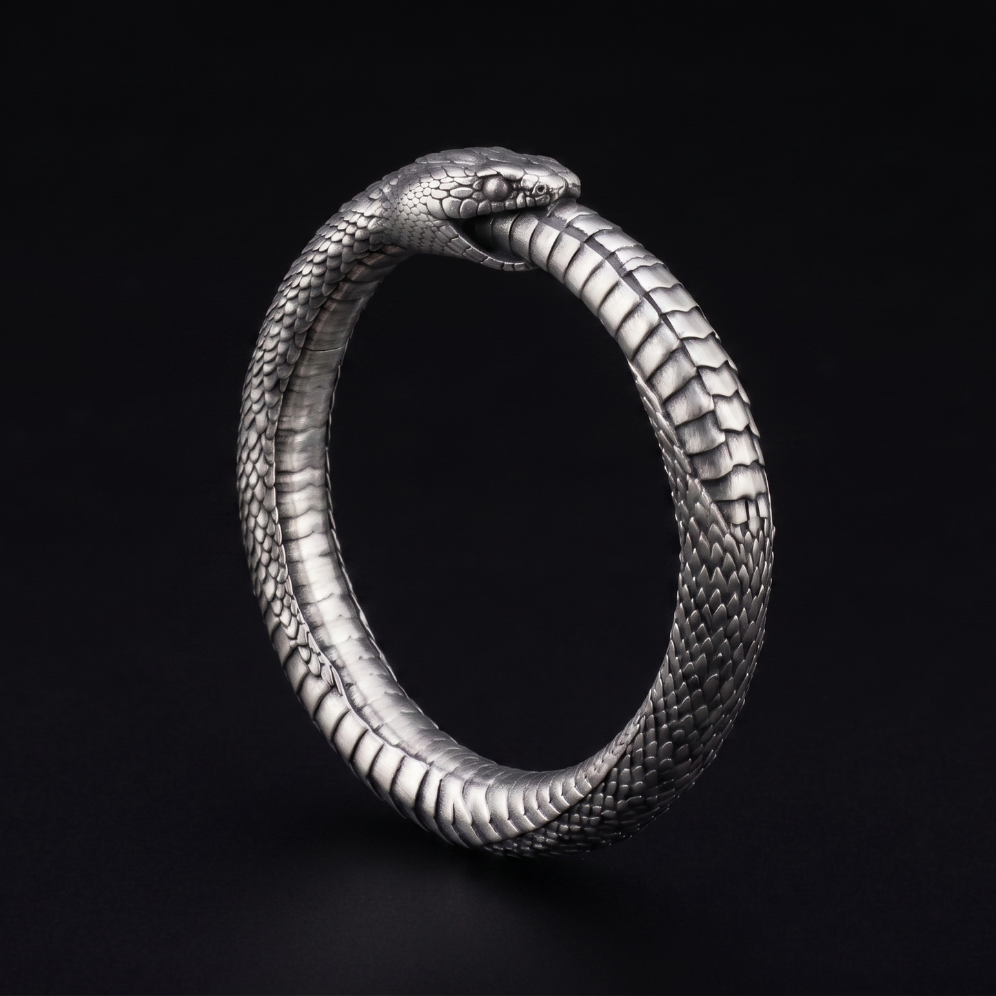 Ouroboros 925 Gümüş Kolye