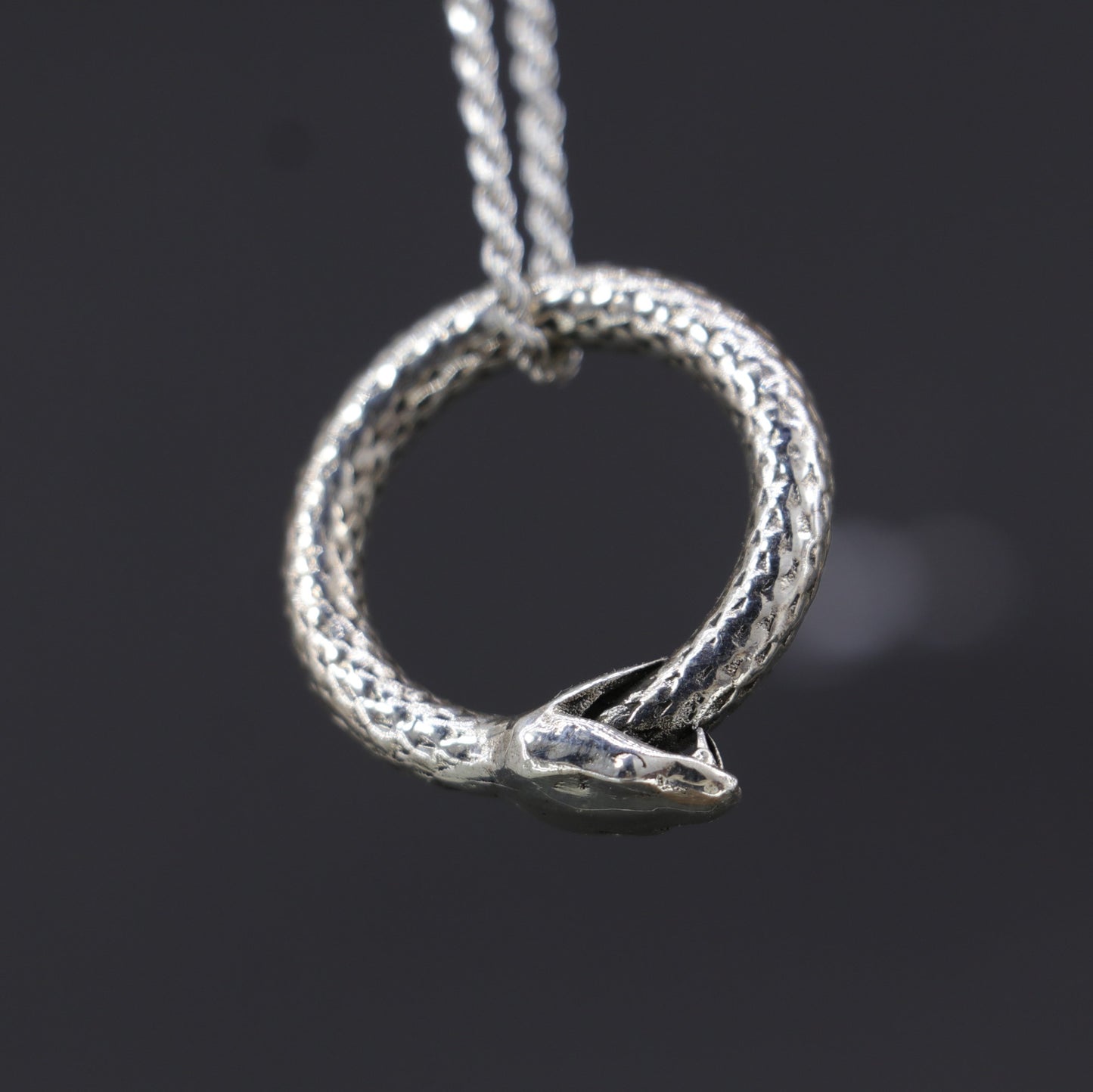 Ouroboros – Self-Eating Snake Necklace 925 Silver
