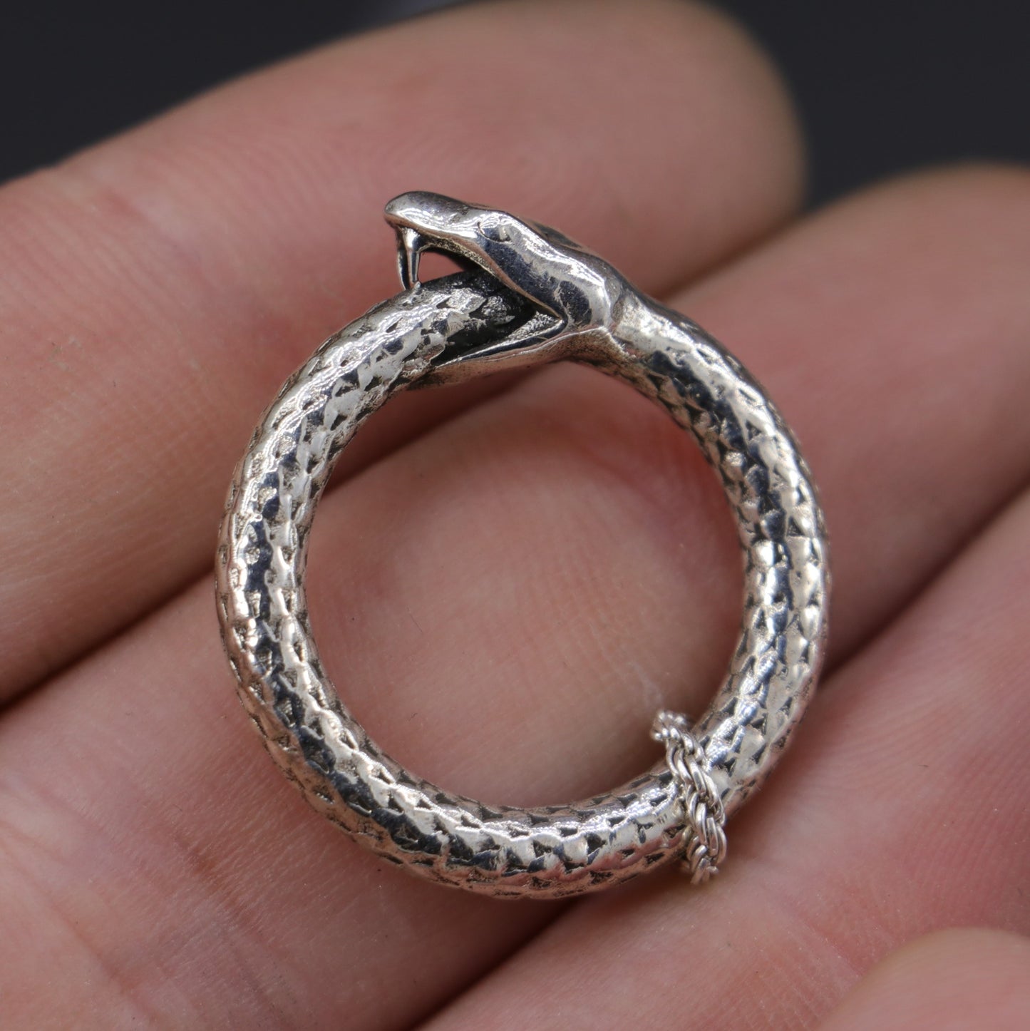 Ouroboros – Self-Eating Snake Necklace 925 Silver