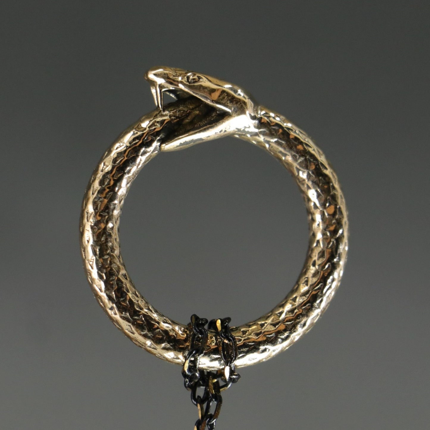 Ouroboros – Self-Eating Snake Necklace 925 Silver