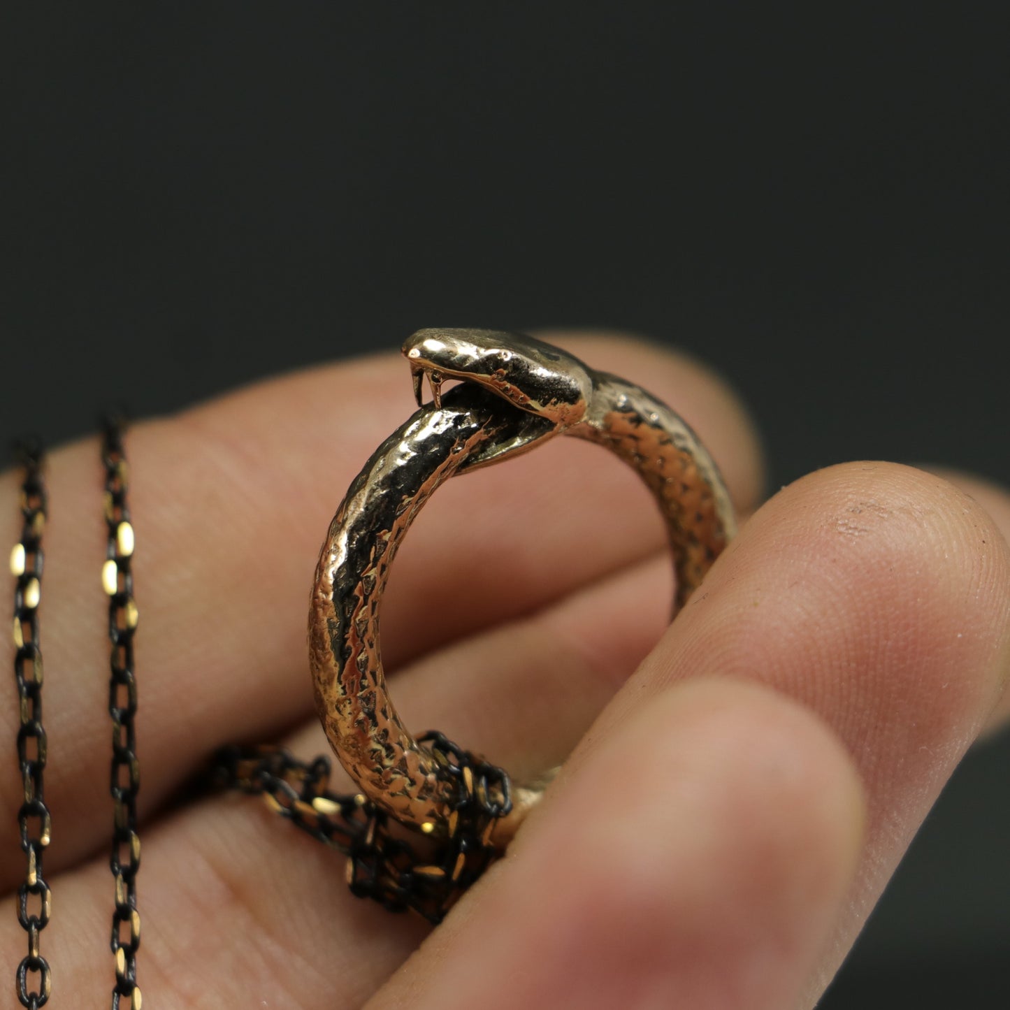Ouroboros – Self-Eating Snake Necklace 925 Silver