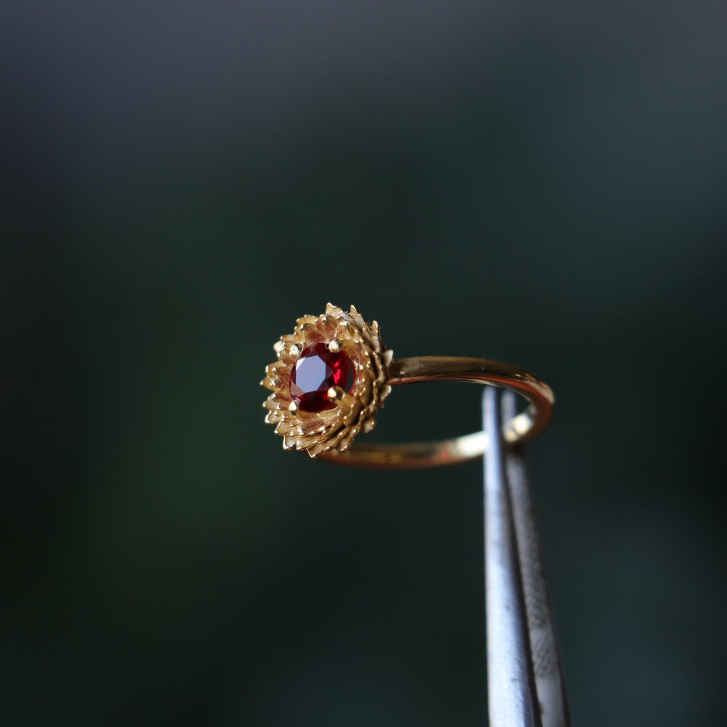 Ruby Ring (1)