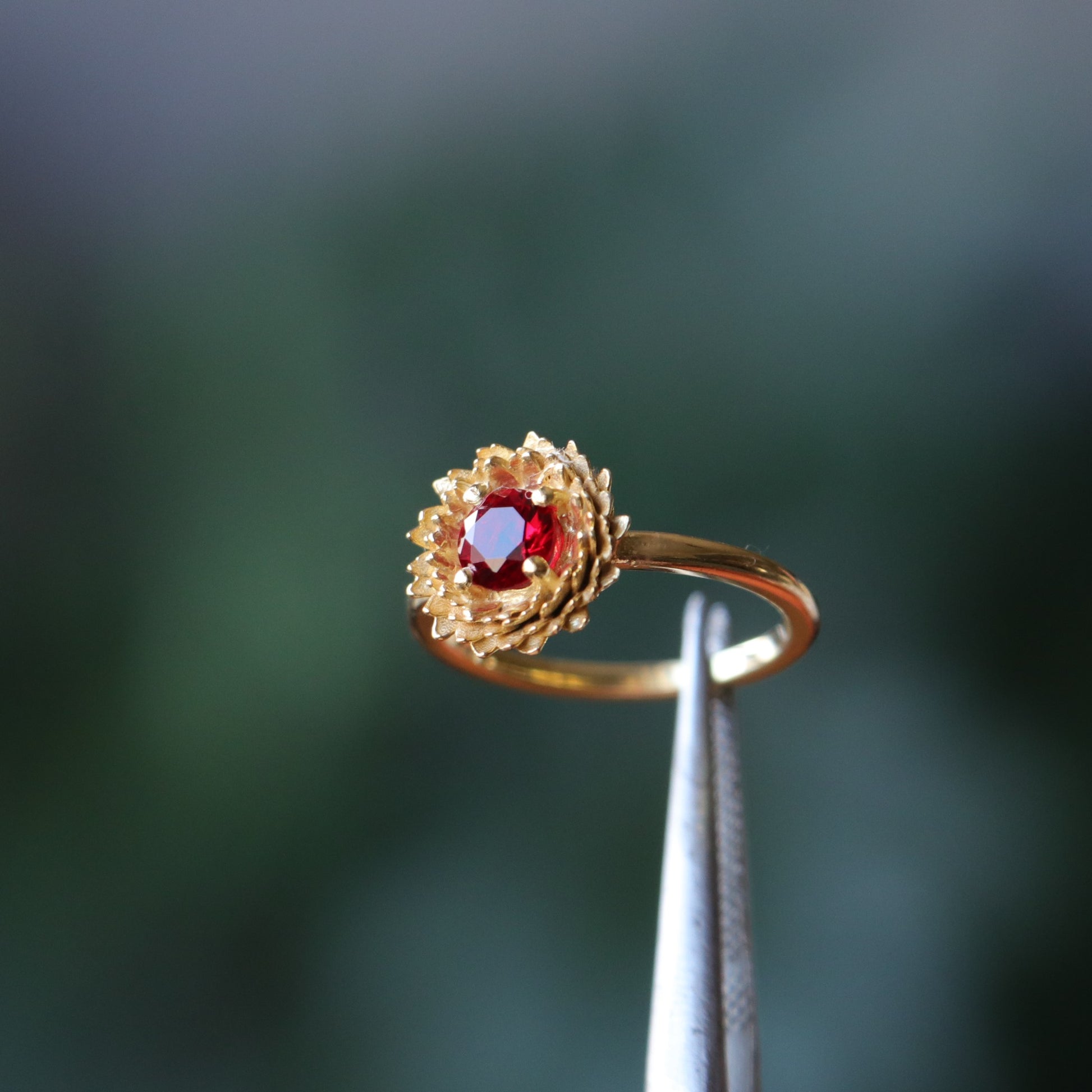 Ruby Ring (19)