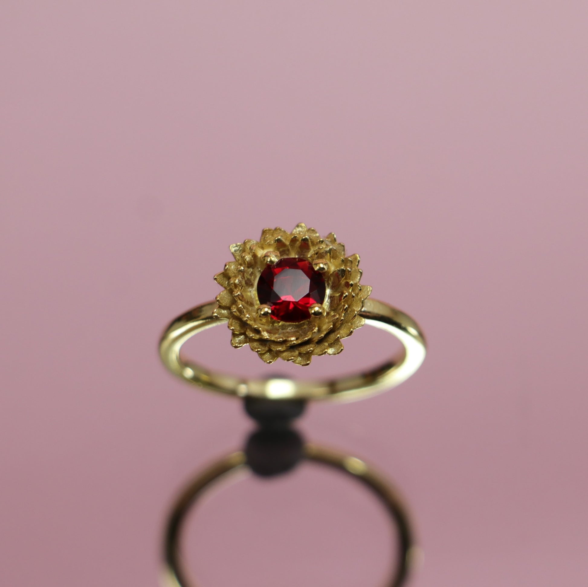 Ruby Ring (3)